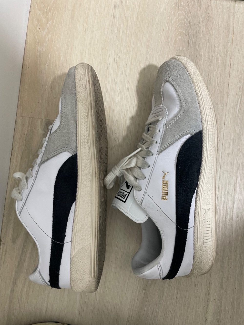 Puma - Picture 2 of 4